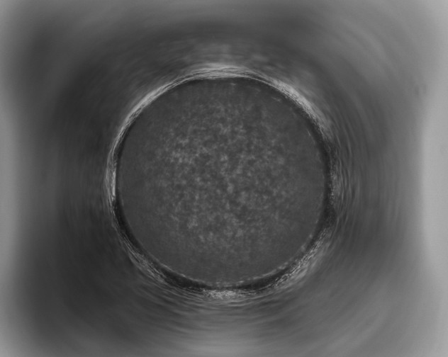 X0000096991413200802081418