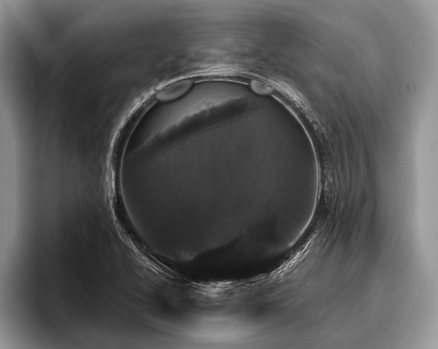 X0000096991414200802081418