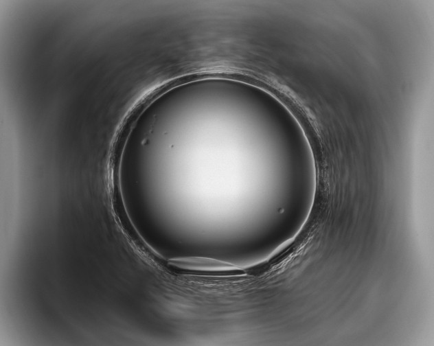 X0000096991416200802081418