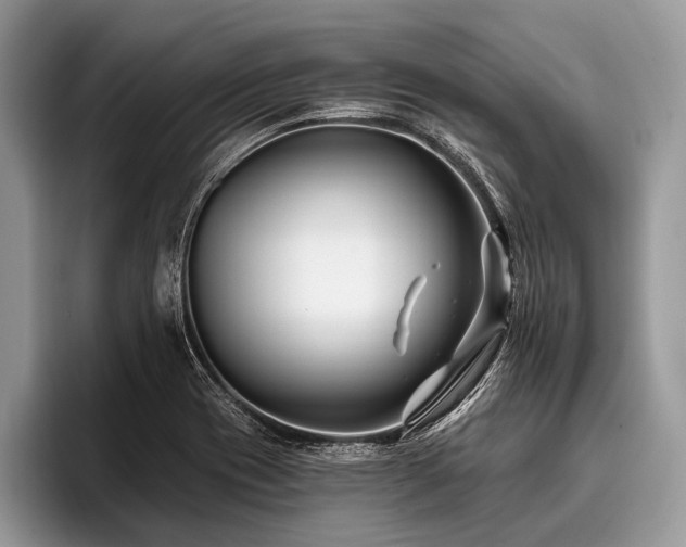 X0000096991417200802081418