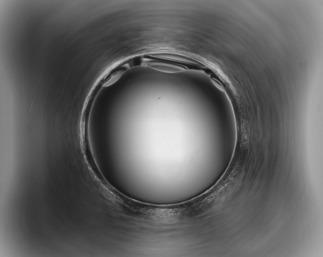 X0000096991424200802081418