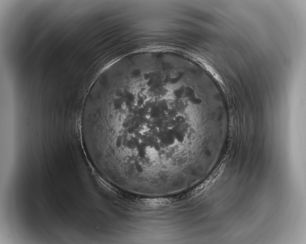 X0000096991425200802081418