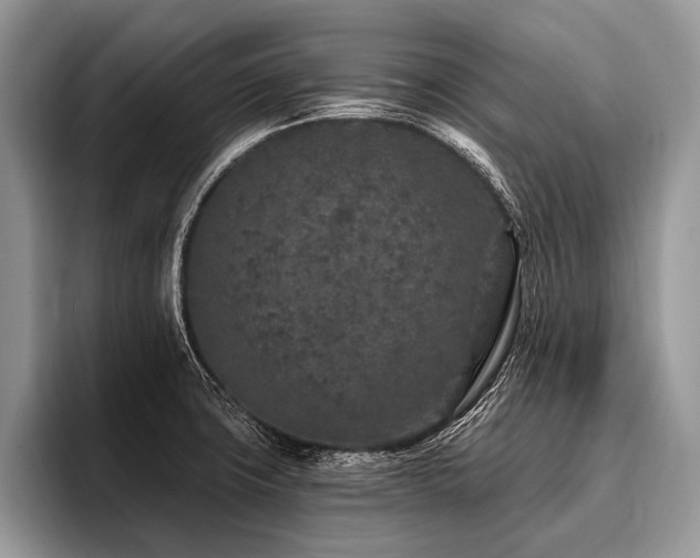 X0000096991427200802081418