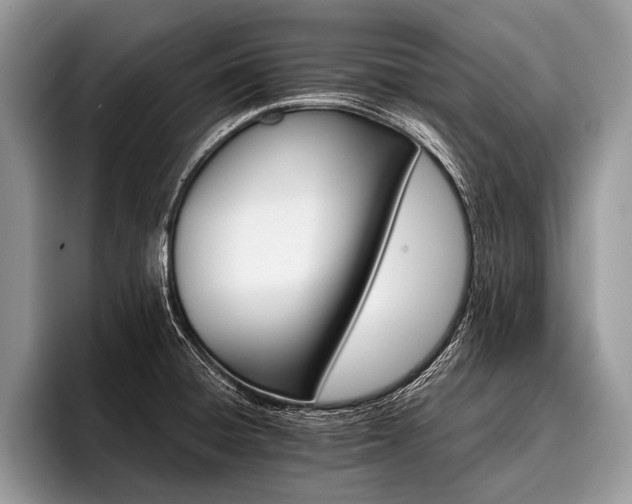 X0000096991428200802081418