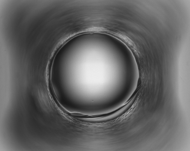 X0000096991430200802081418