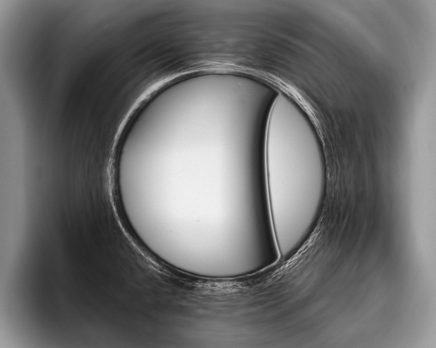 X0000096991432200802081418