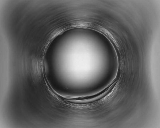 X0000096991433200802081418