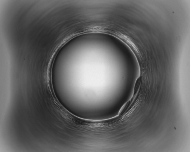 X0000096991435200802081418