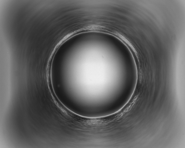 X0000096991437200802081419