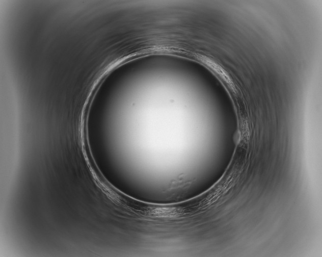 X0000096991439200802081419