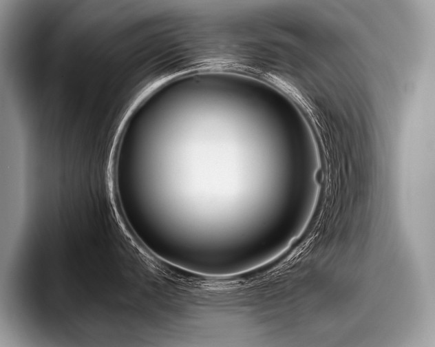 X0000096991440200802081419