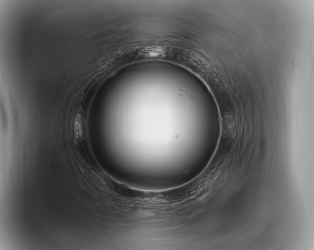 X0000096991442200802081418