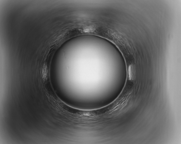 X0000096991443200802081418
