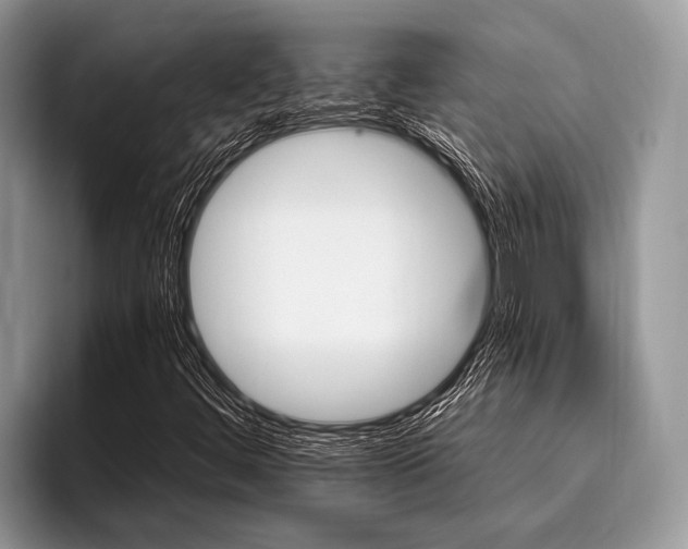 X0000096991444200802081418