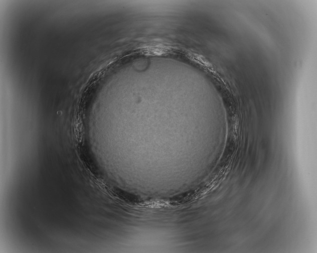X0000096991446200802081418