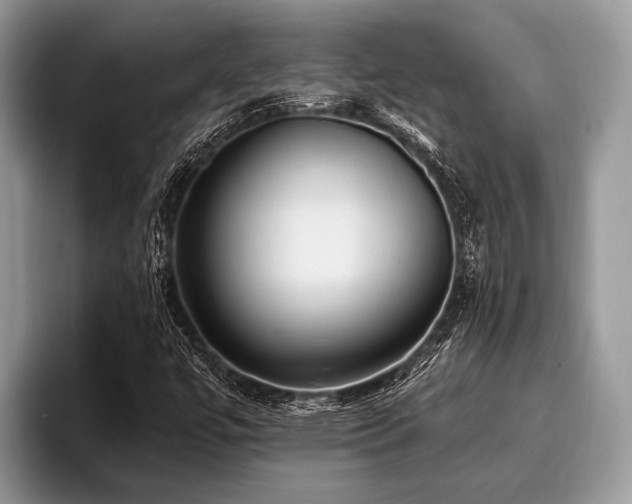 X0000096991447200802081418