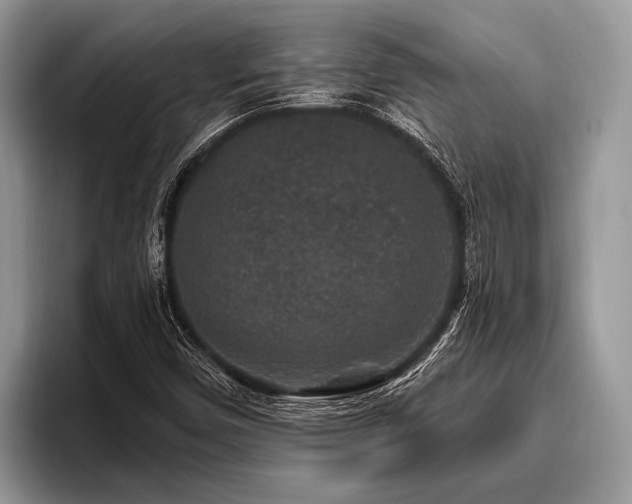 X0000096991450200802081418
