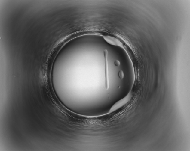 X0000096991452200802081418