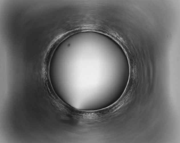 X0000096991454200802081418