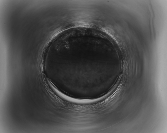 X0000096991455200802081418