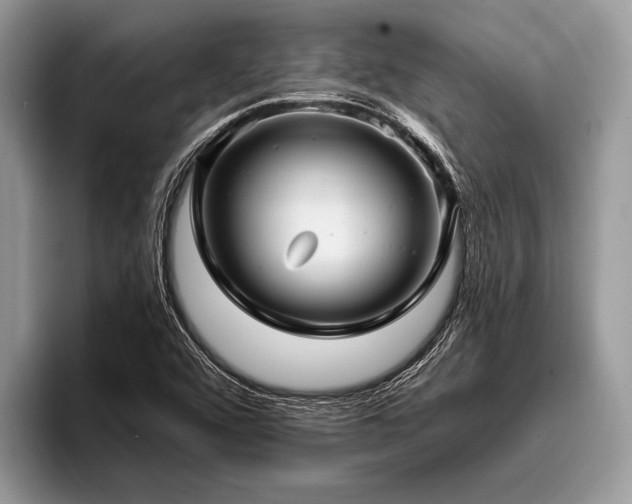 X0000096991456200802081418