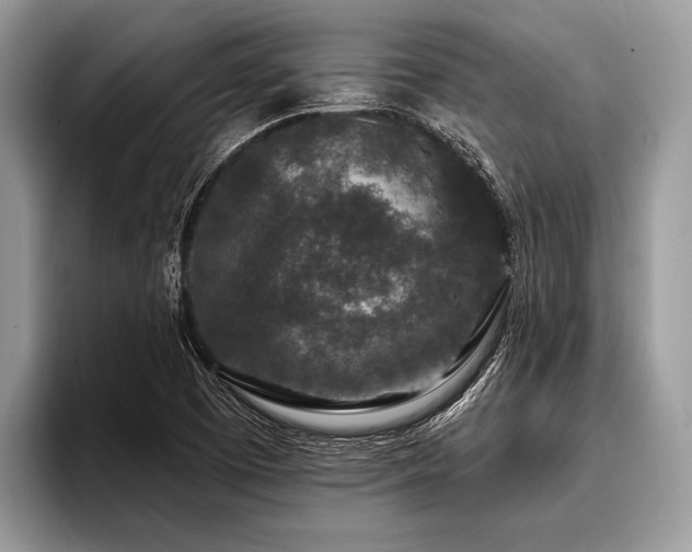 X0000096991457200802081418