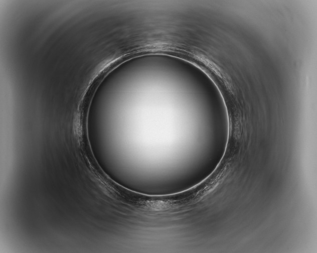 X0000096991458200802081418