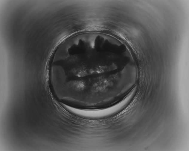 X0000096991459200802081418