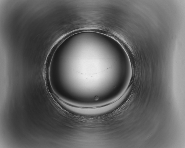 X0000096991460200802081418