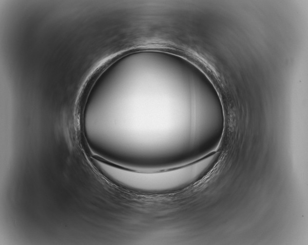 X0000096991462200802081418