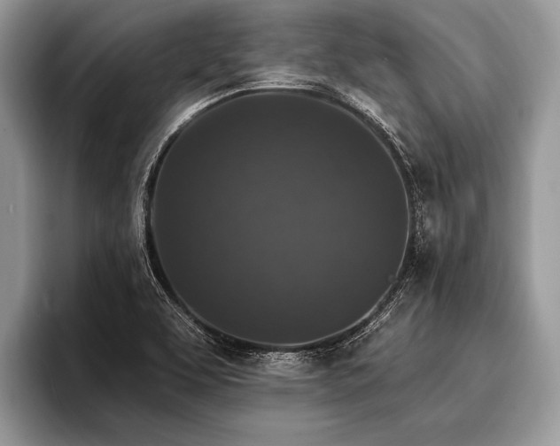 X0000096991463200802081418