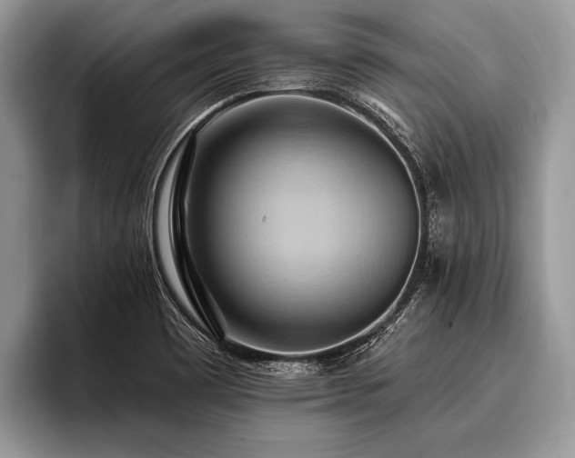 X0000096991465200802081418