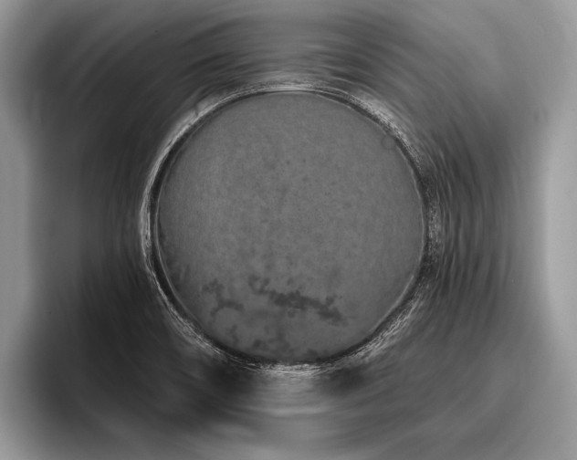 X0000096991466200802081418