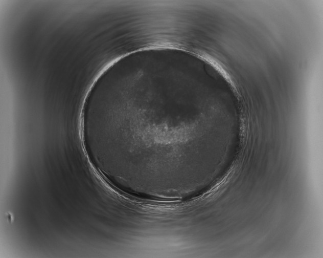 X0000096991468200802081418