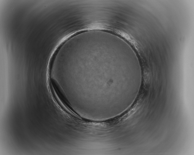 X0000096991469200802081418