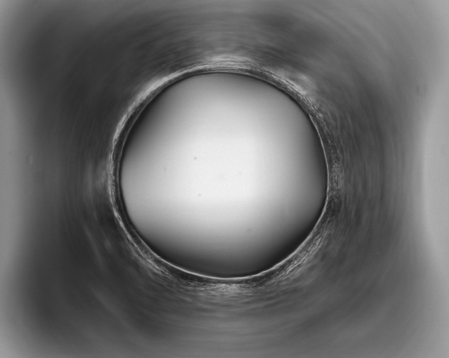 X0000096991470200802081418