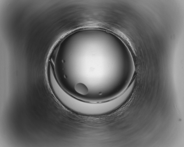 X0000096991472200802081418