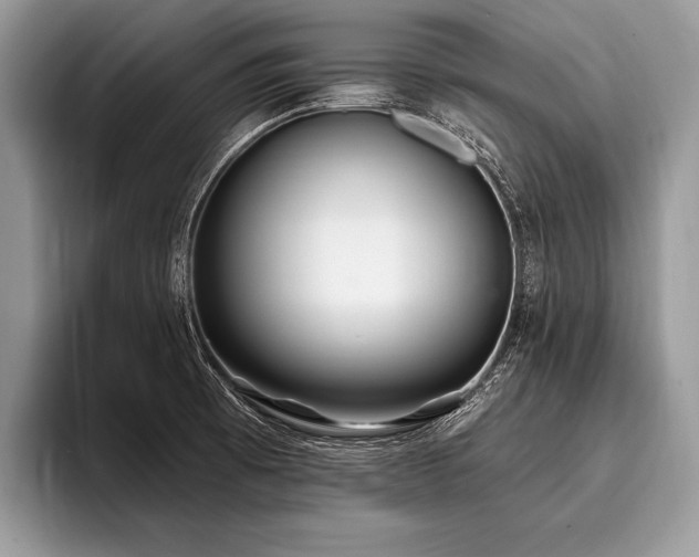 X0000096991473200802081418