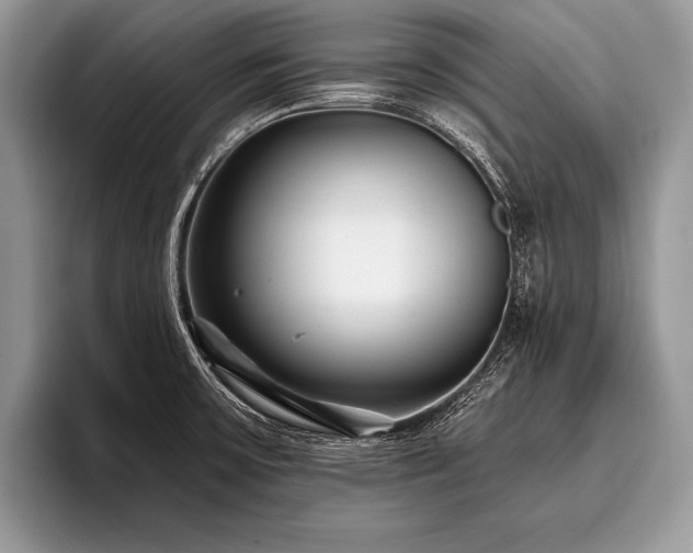 X0000096991475200802081417