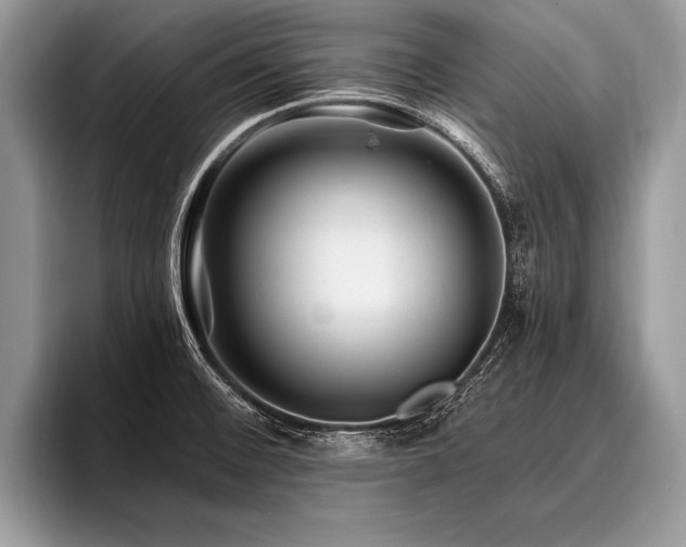X0000096991476200802081417