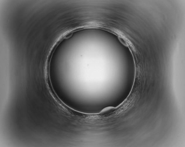 X0000096991477200802081417