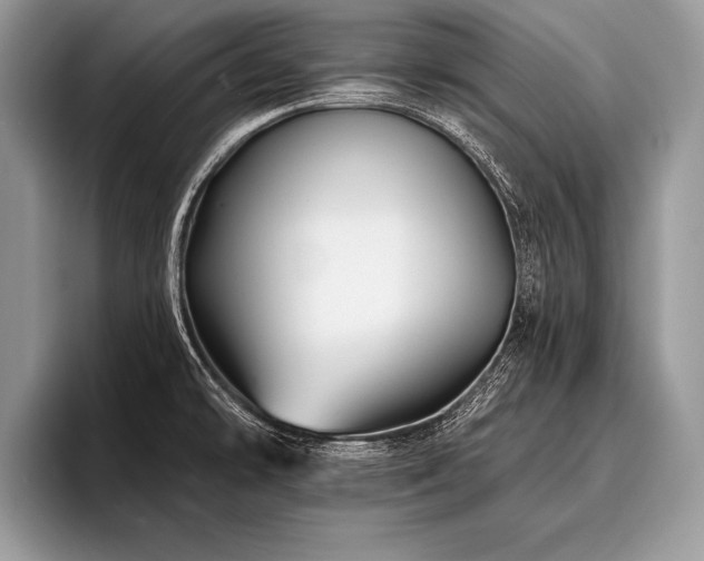 X0000096991478200802081417