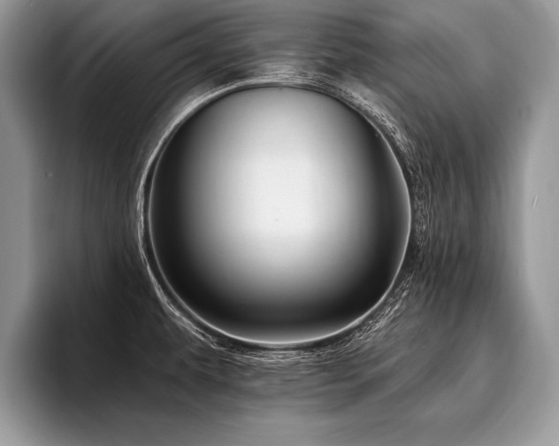 X0000096991479200802081417
