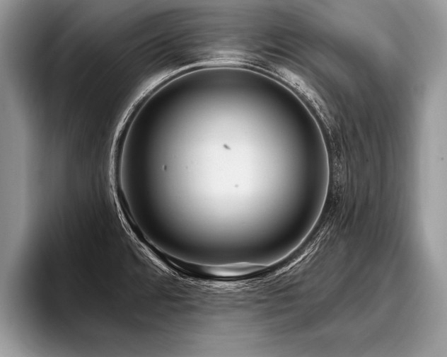 X0000096991480200802081417