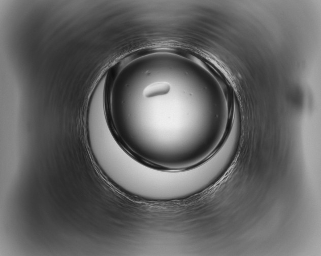X0000096991481200802081417