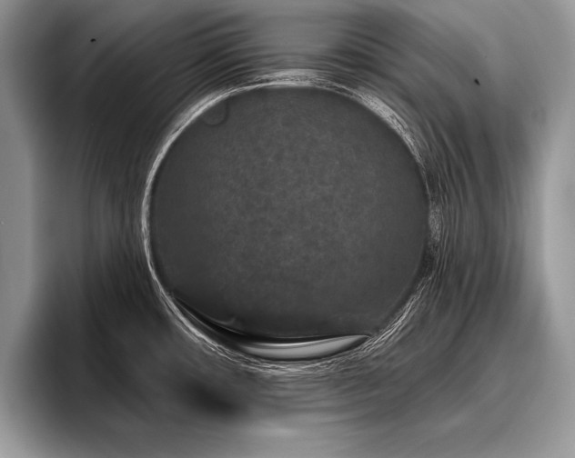 X0000096991482200802081417