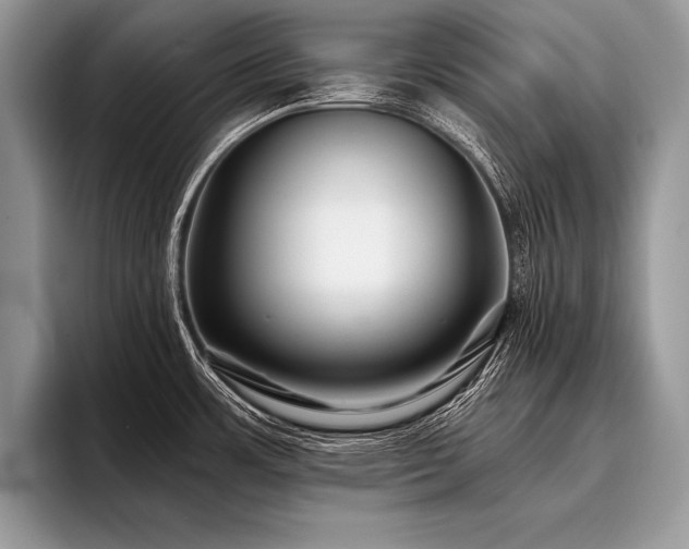 X0000096991483200802081417