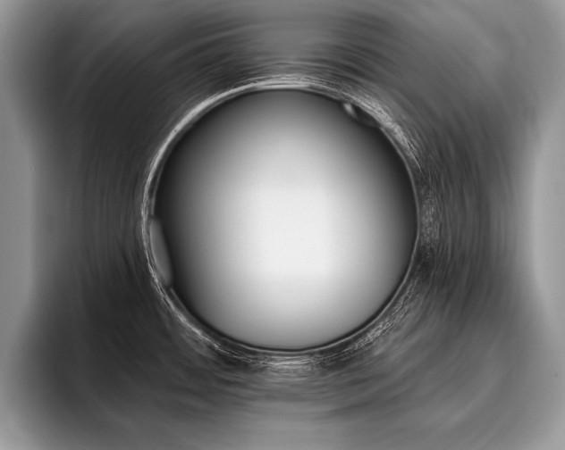 X0000096991484200802081417