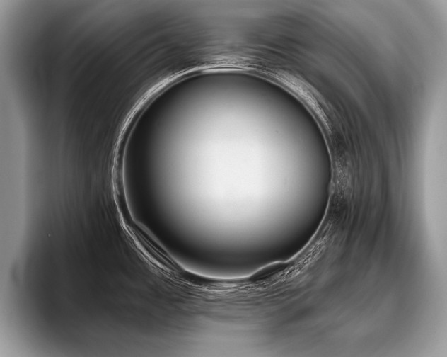X0000096991485200802081417