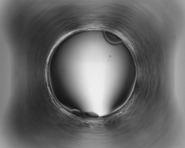 X0000096991486200802081417